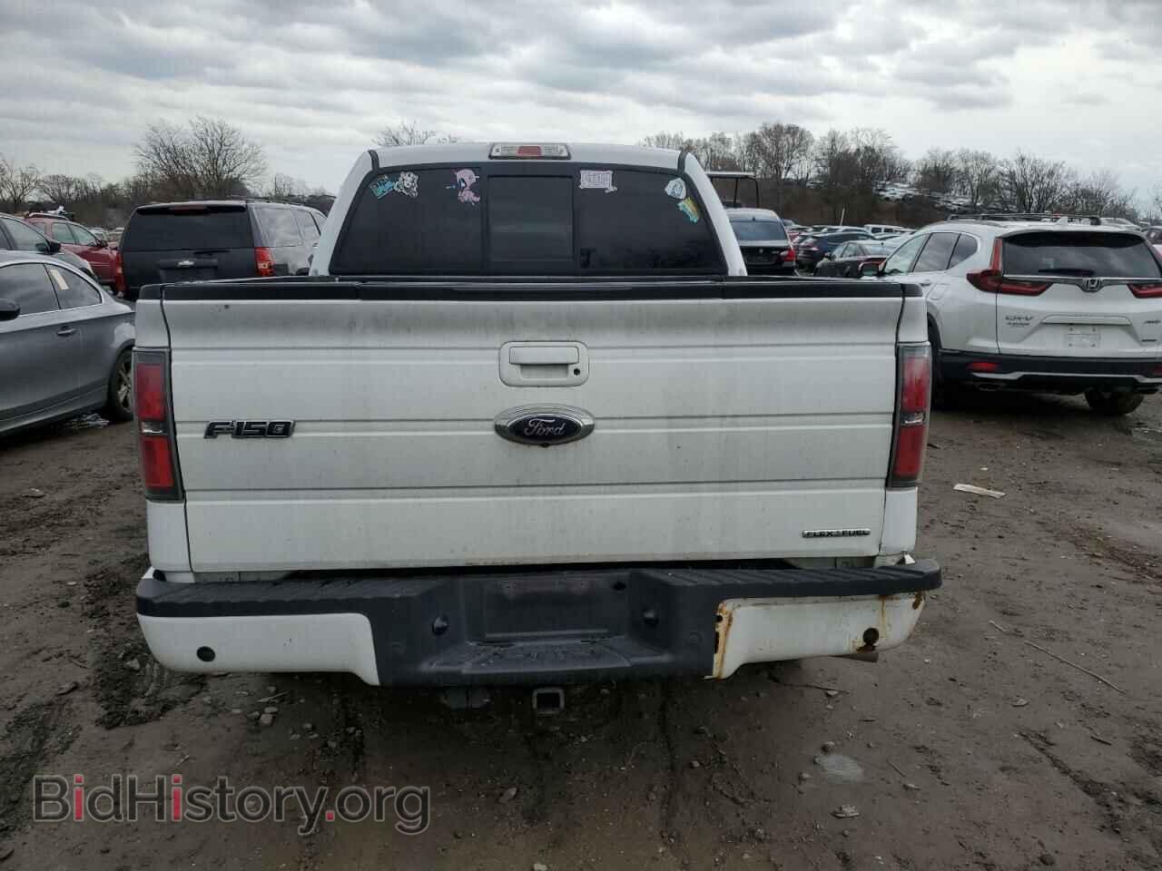 2013 FORD F-150 - VIN: 1FTFW1CF1DKD01093 - Фото 6