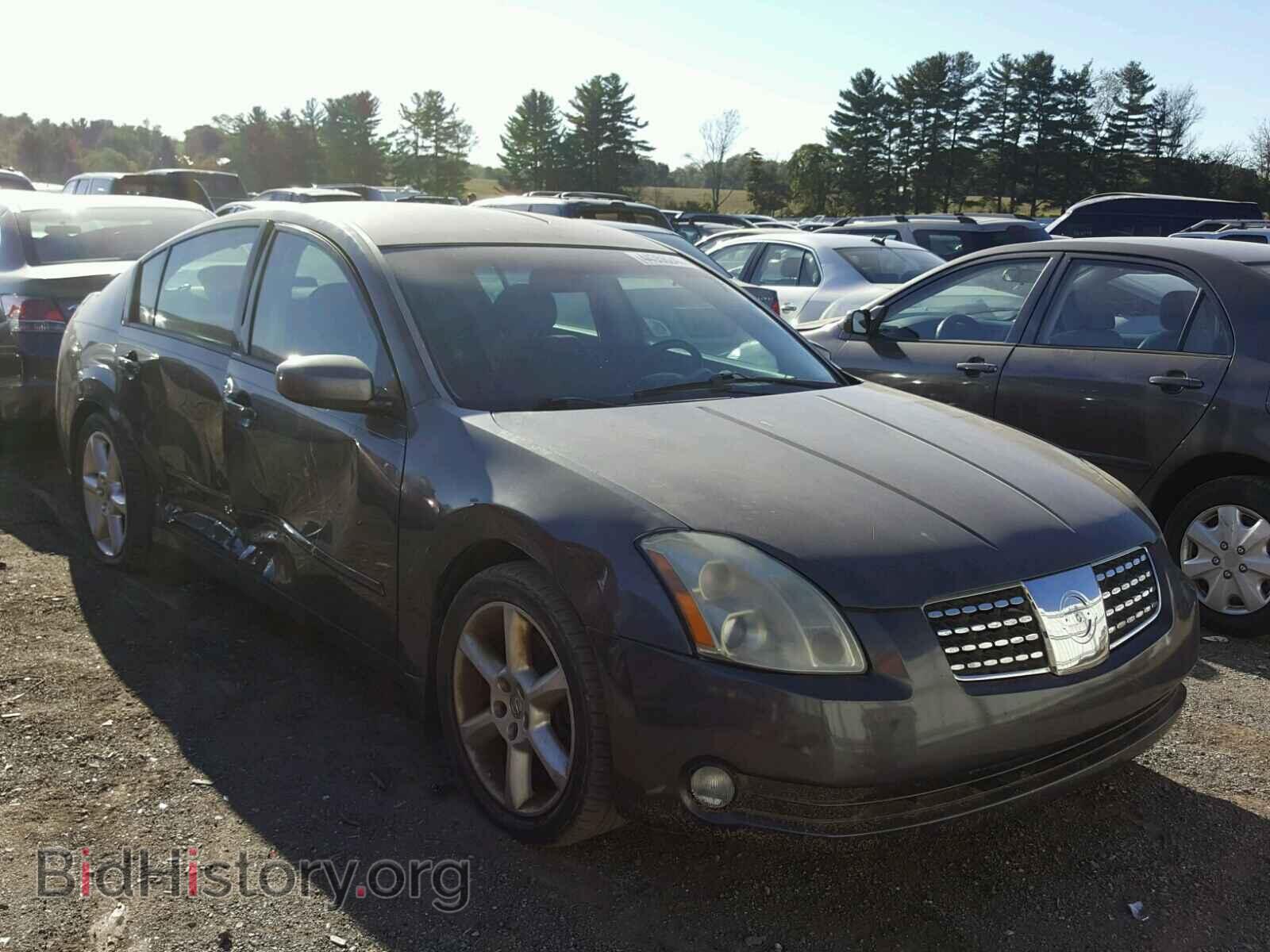 Photo 1N4BA41E36C836583 - NISSAN MAXIMA 2006