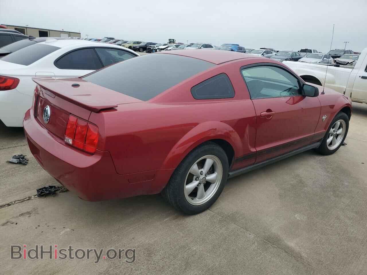 2009 FORD MUSTANG - VIN: 1ZVHT80N095113738 - Фото 3