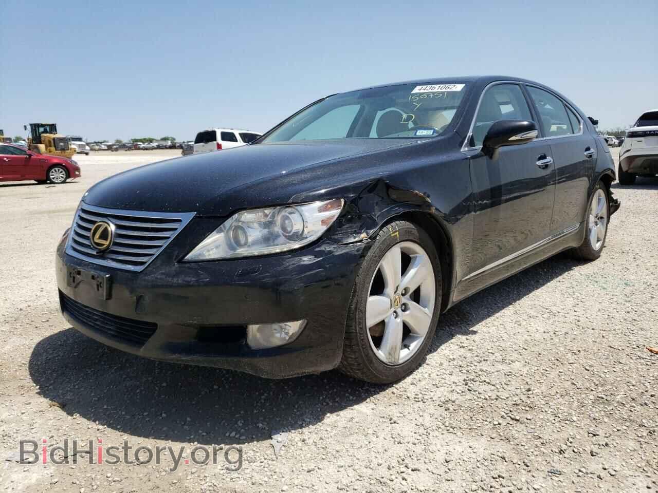 2011 LEXUS LS460 - VIN: JTHBL5EF8B5101740 - Photo 2