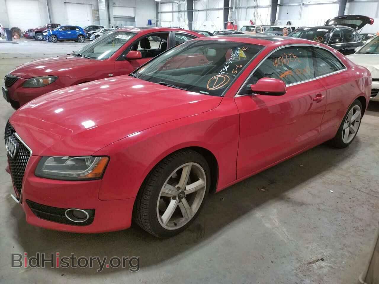 2010 AUDI A5 - VIN: WAULFAFRXAA014083 - Фото 2