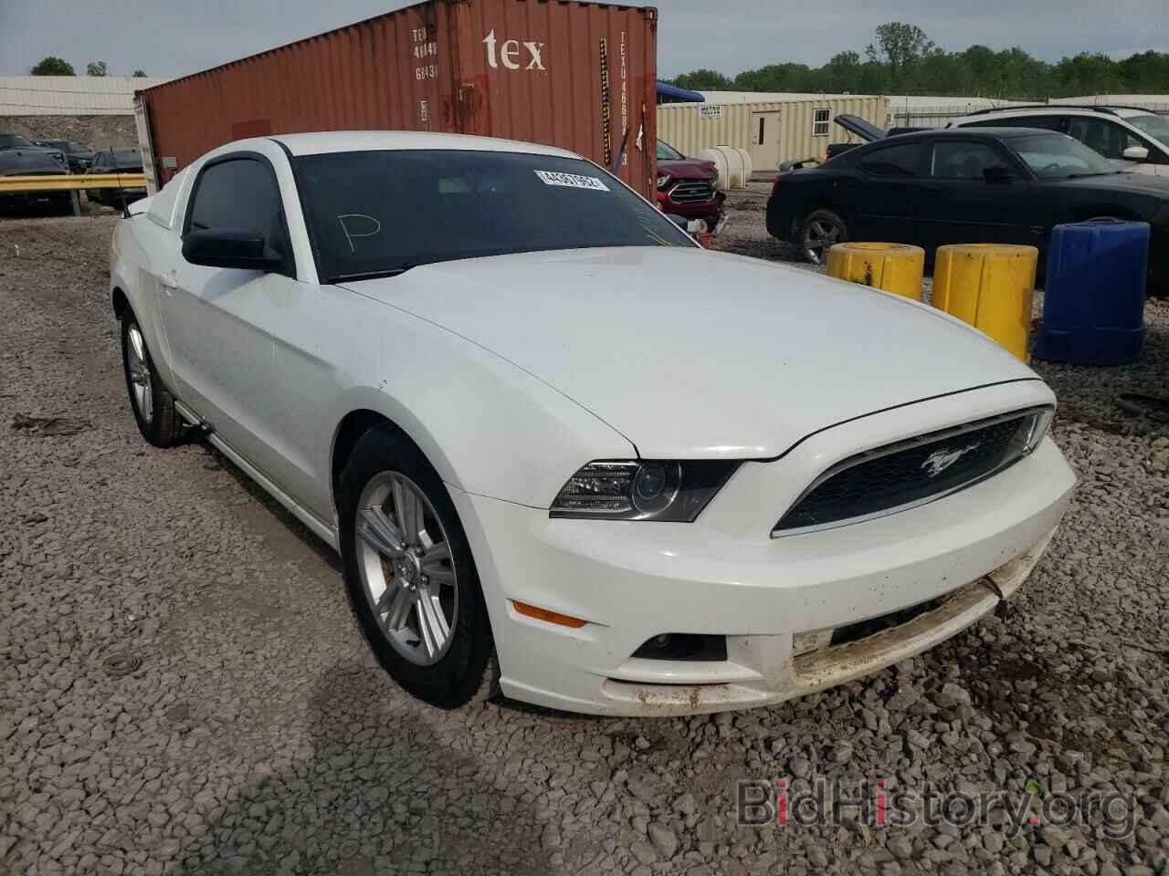 Photo 1ZVBP8AM9E5311356 - FORD MUSTANG 2014