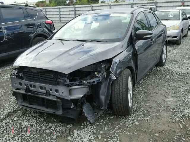 2015 FORD FOCUS - VIN: 1FADP3F25FL215202 - Фото 2