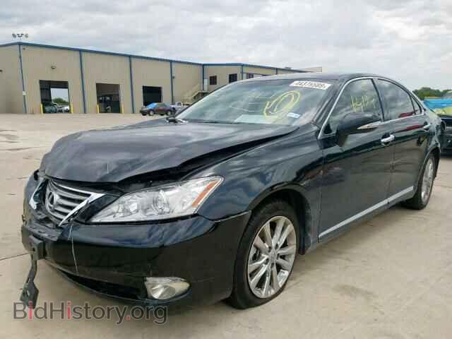 2010 LEXUS ES350 - VIN: JTHBK1EG0A2390634 - Фото 2