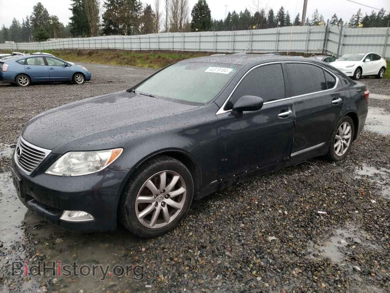 Фотография JTHGL46F875016547 - LEXUS LS460 2007