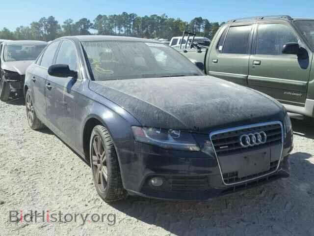 Фотография WAUBFAFL7AN037269 - AUDI A4 2010
