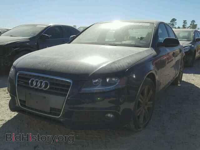 2010 AUDI A4 - VIN: WAUBFAFL7AN037269 - Фото 2