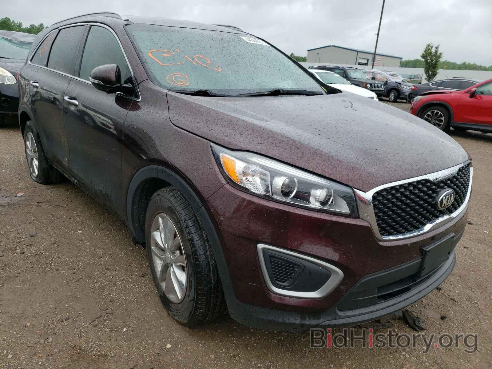 Photo 5XYPG4A55GG002651 - KIA SORENTO 2016