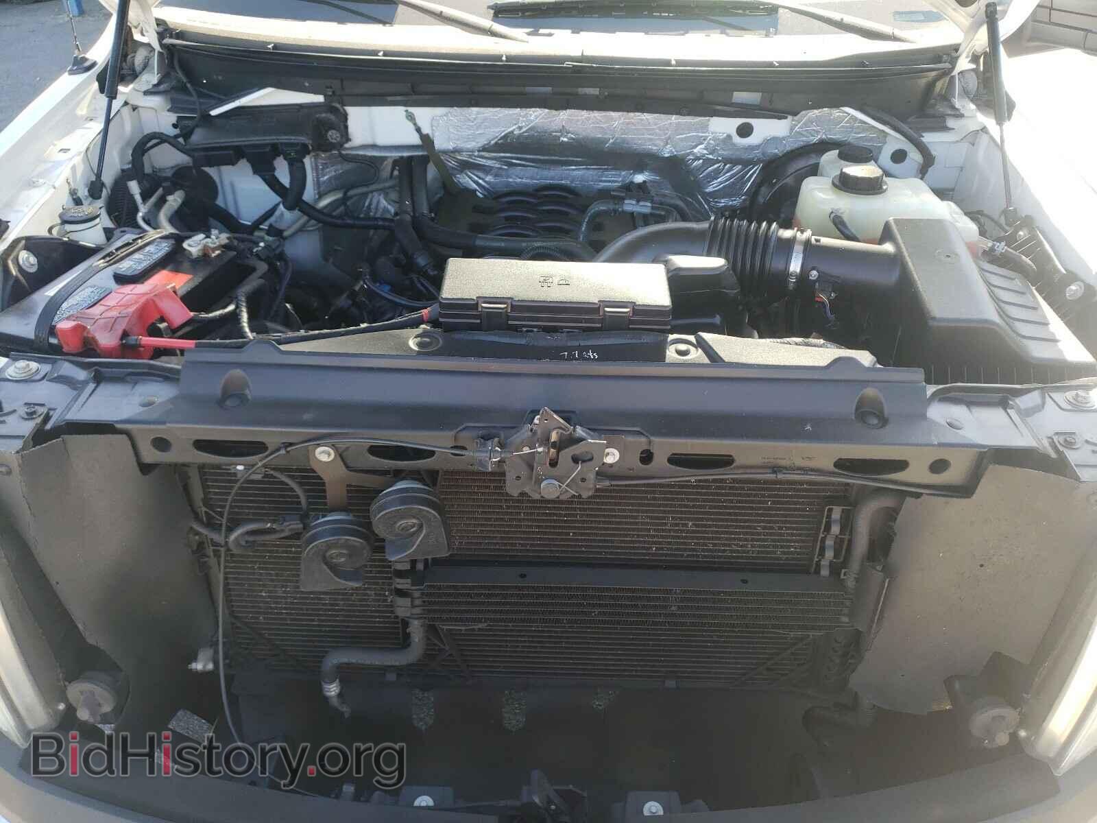 2011 FORD F150 - VIN: 1FTMF1CF4BFB25461 - Фото 7