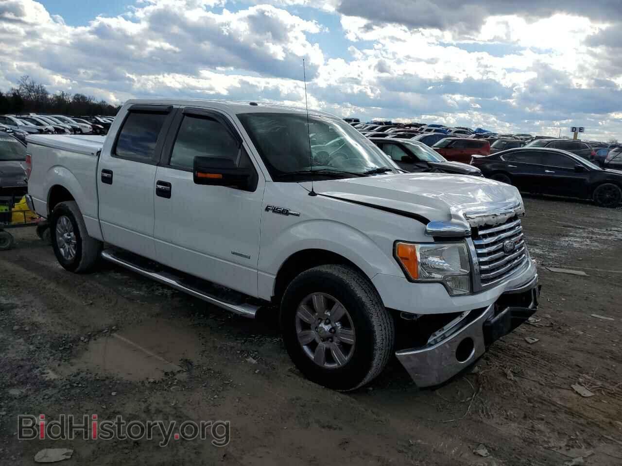 2012 FORD F-150 - VIN: 1FTFW1CT0CFB99184 - Фото 4