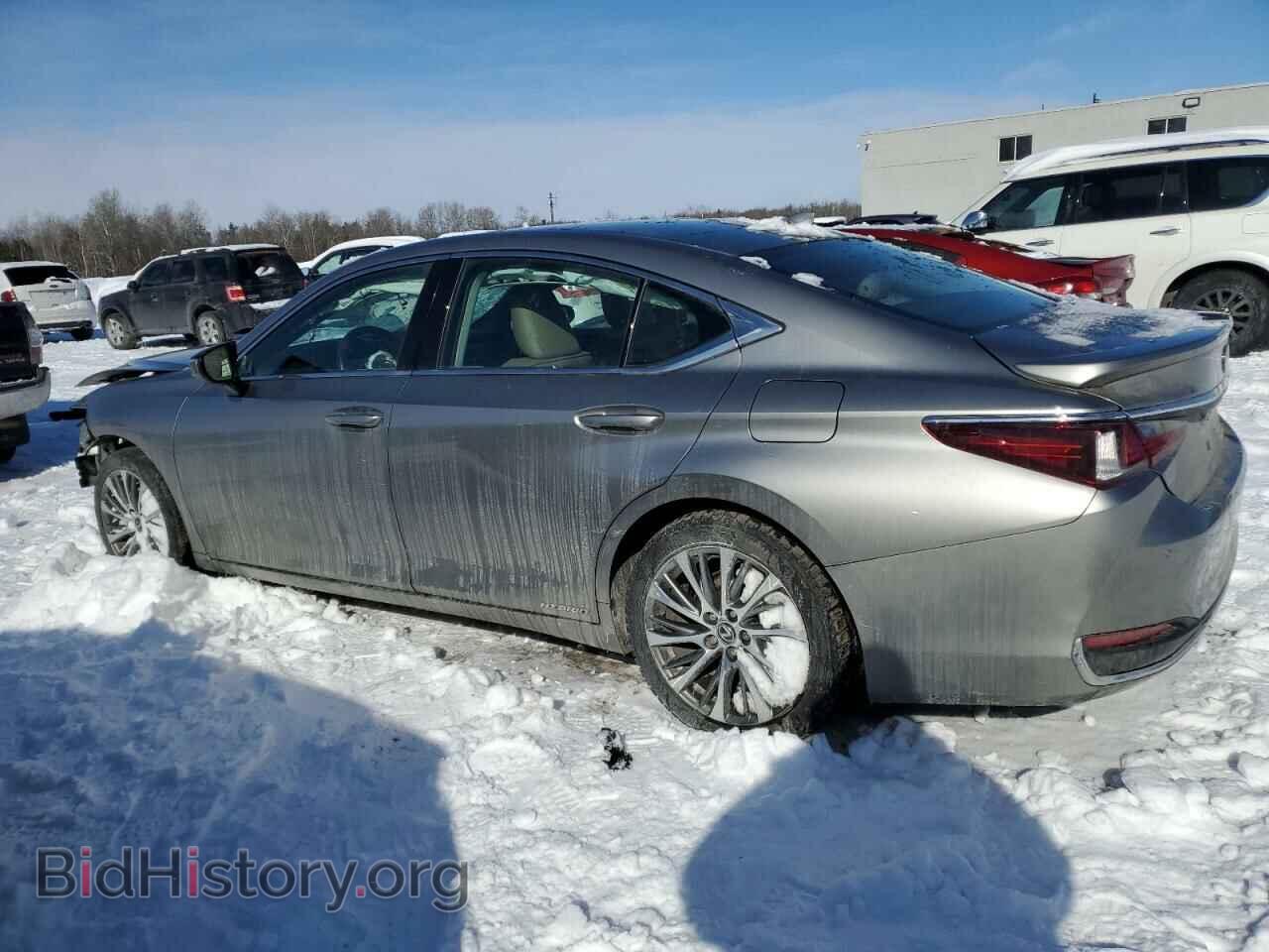 2021 LEXUS ES300 - VIN: 58AB21B16MU012851 - Фото 2