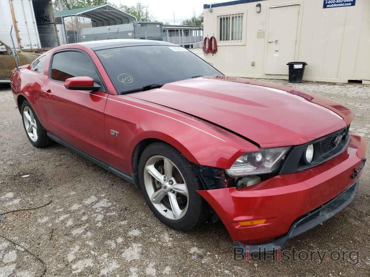 Photo 1ZVBP8CH5A5100679 - FORD MUSTANG 2010