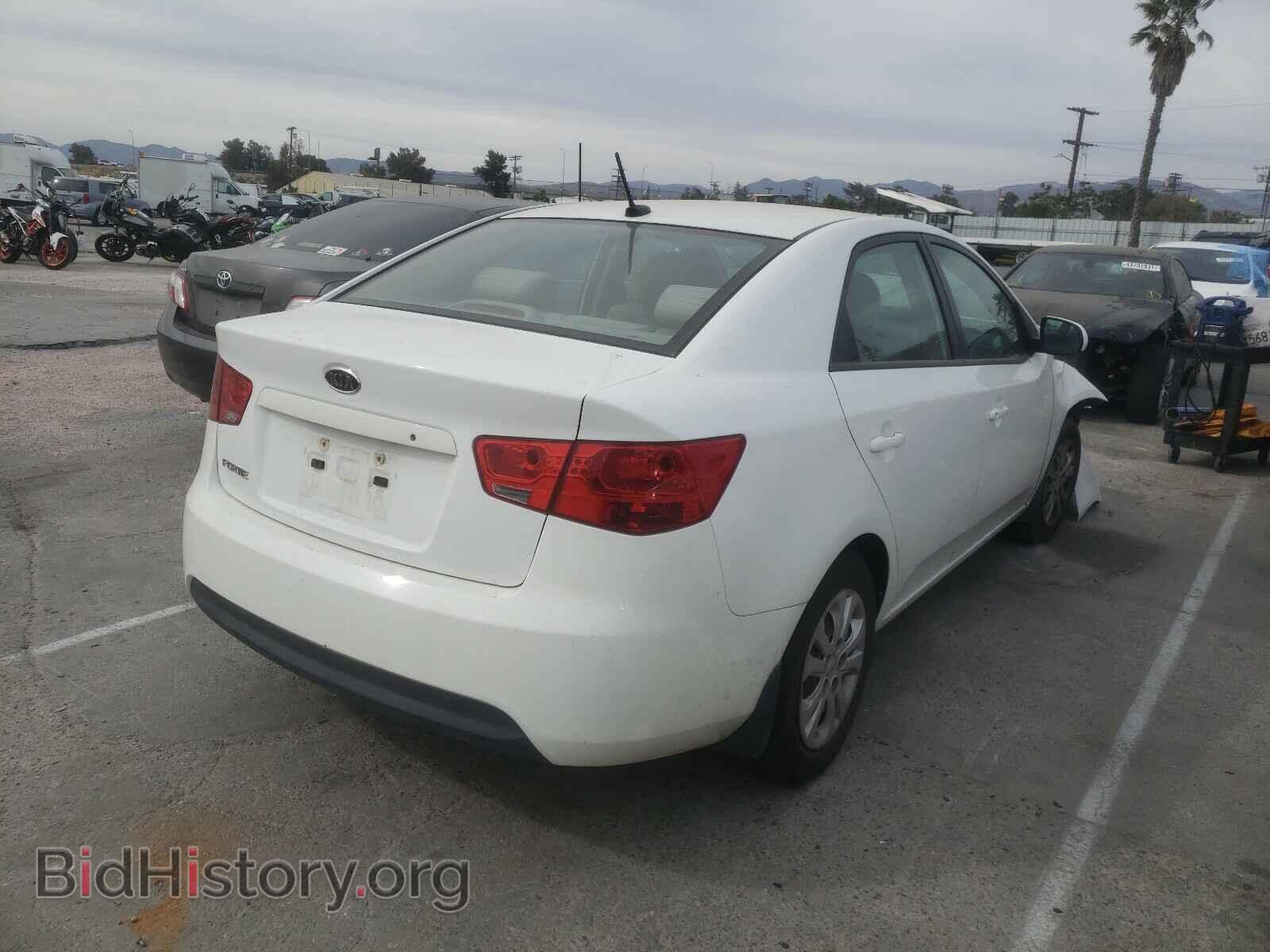2013 KIA FORTE - VIN: KNAFT4A21D5677704 - Фото 4