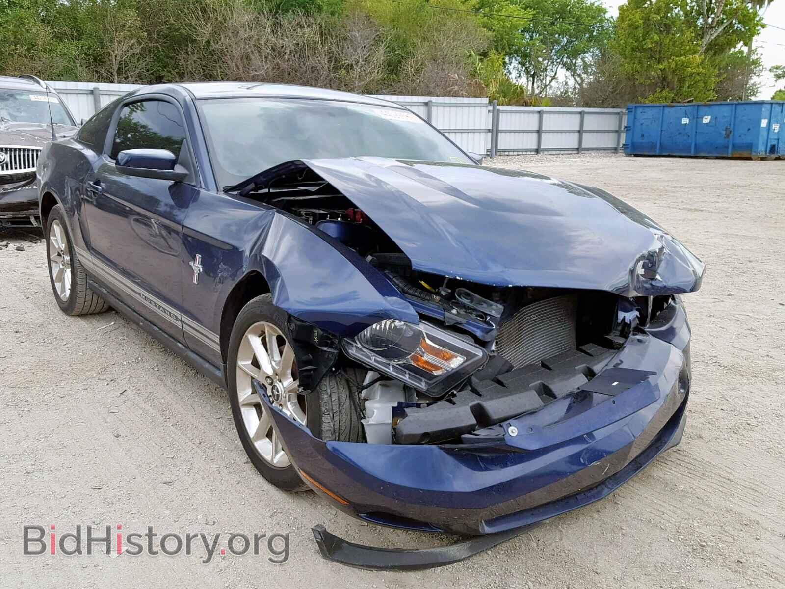 Фотография 1ZVBP8AM9B5116756 - FORD MUSTANG 2011