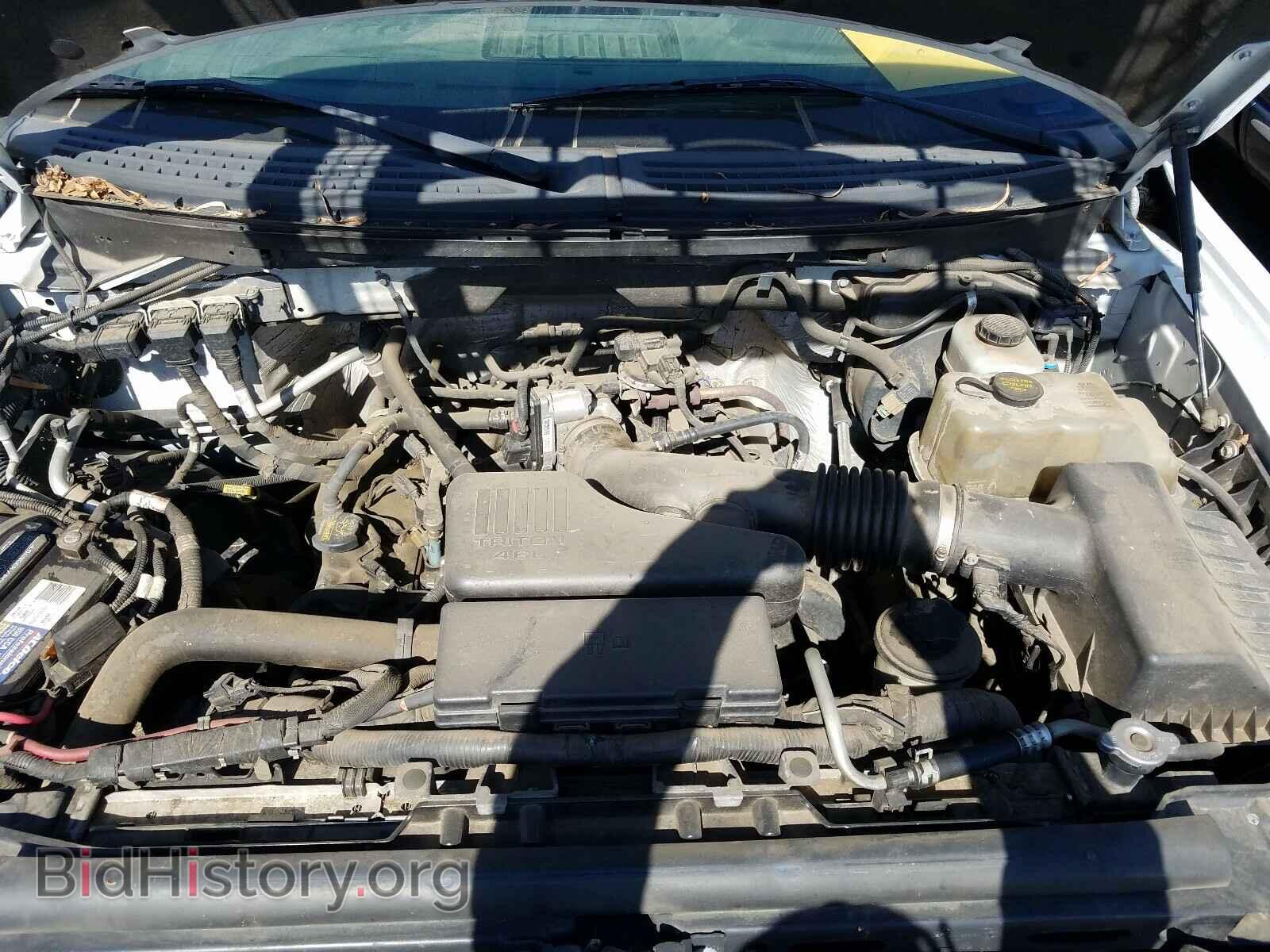 2010 FORD F150 - VIN: 1FTMF1EW7AKB35663 - Фото 7