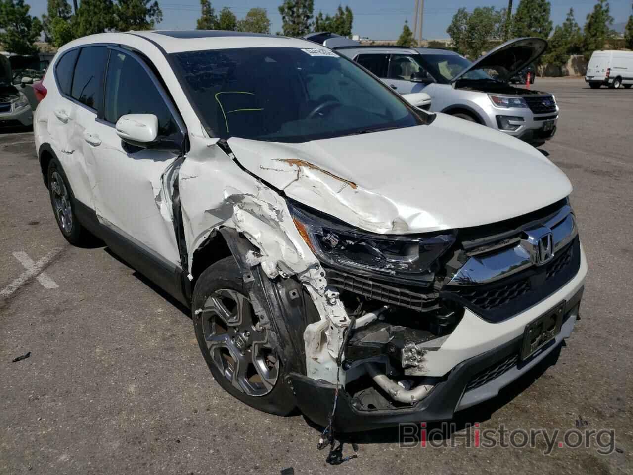 Photo 5J6RW1H8XKA017241 - HONDA CRV 2019