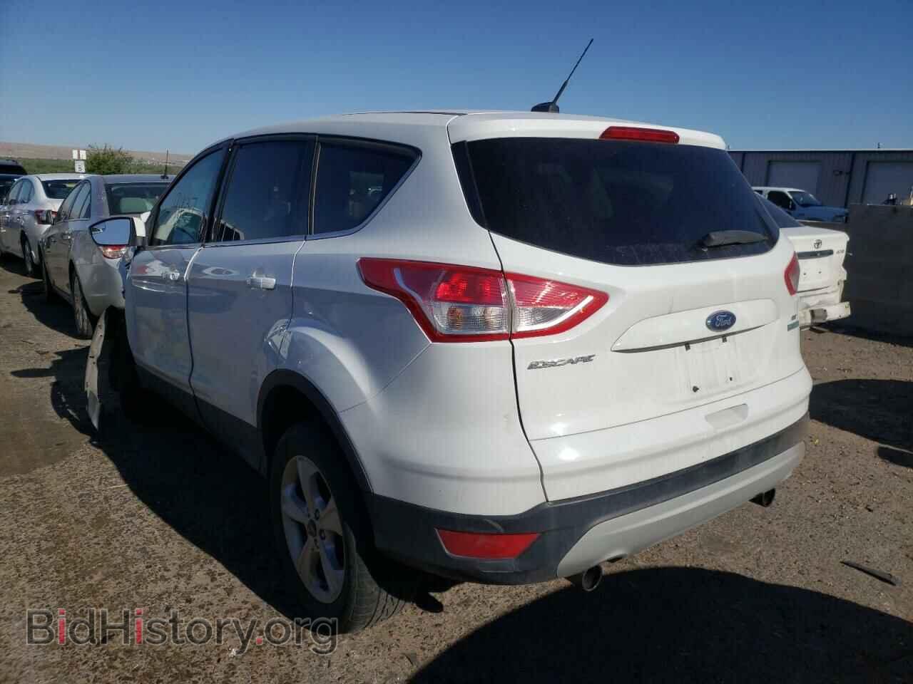 2013 FORD ESCAPE - VIN: 1FMCU0GX8DUC38466 - Фото 3