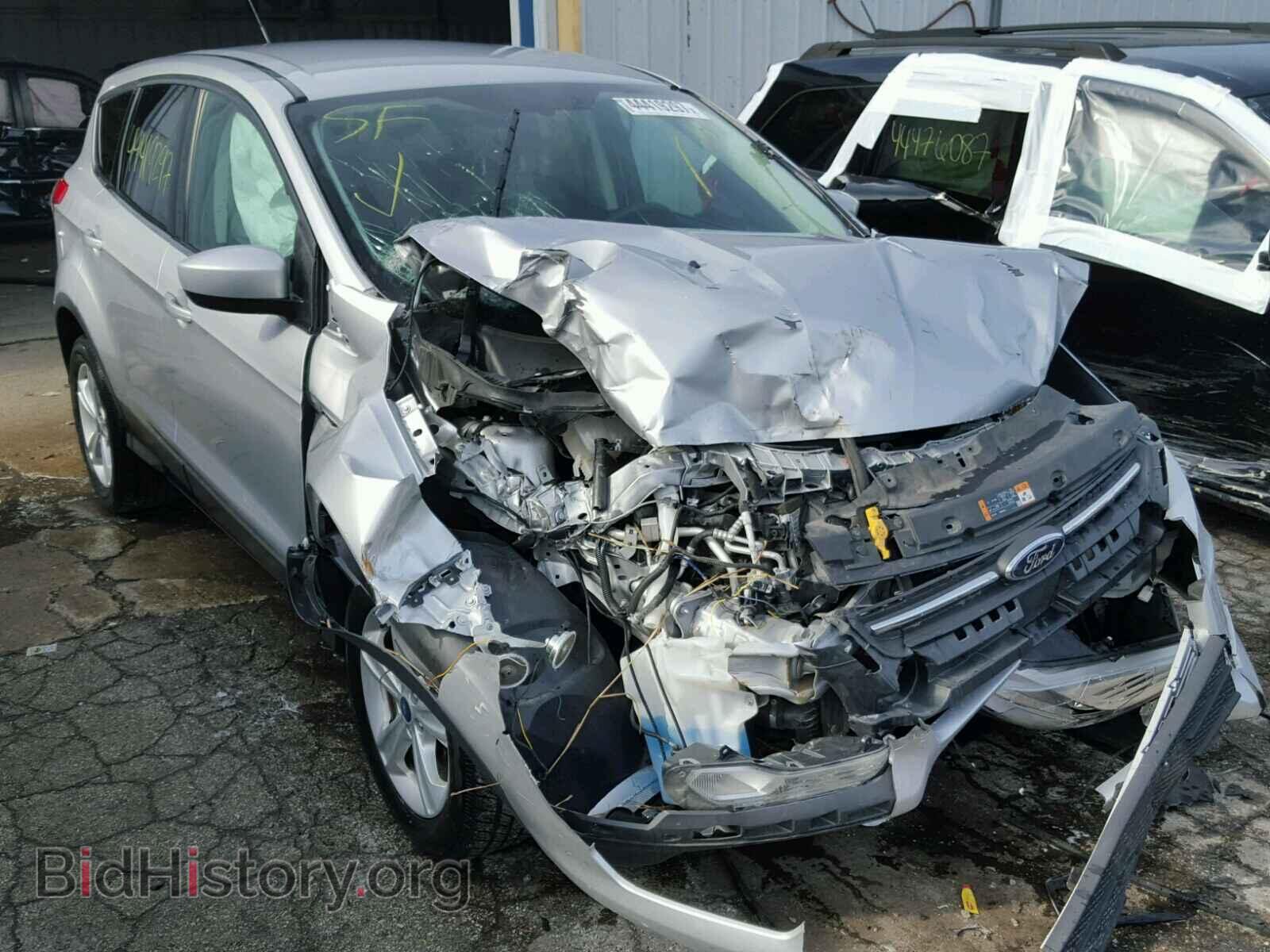 Photo 1FMCU0GXXDUC10295 - FORD ESCAPE 2013