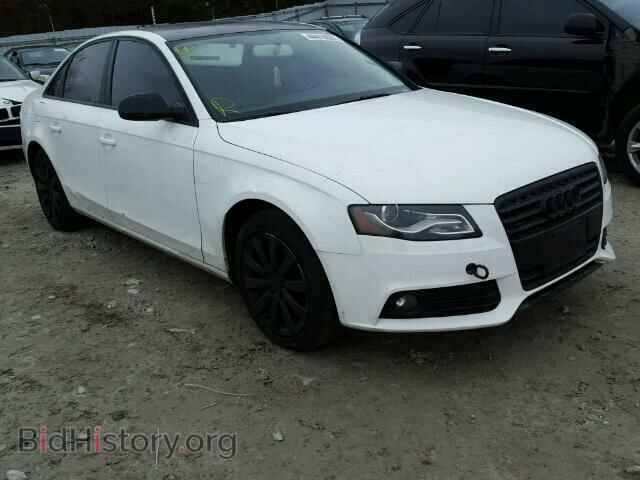 Фотография WAUBFCFL2AN027230 - AUDI A4 2010