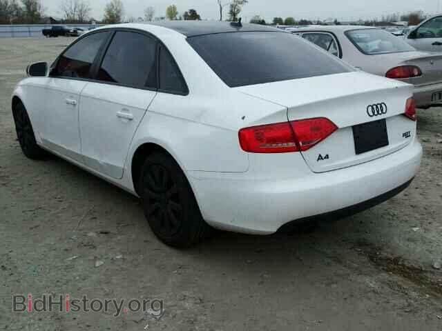 2010 AUDI A4 - VIN: WAUBFCFL2AN027230 - Фото 3