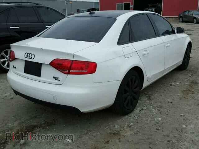 2010 AUDI A4 - VIN: WAUBFCFL2AN027230 - Фото 4