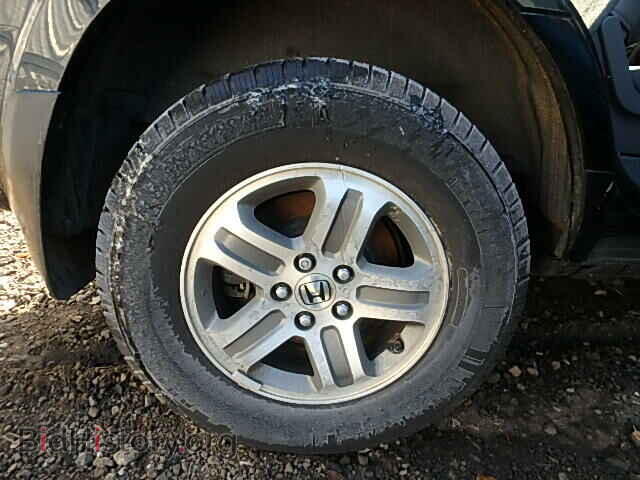 2005 HONDA PILOT - VIN: 5FNYF18515B031449 - Фото 10