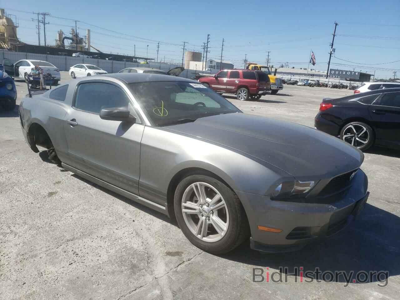 Photo 1ZVBP8AN9A5148288 - FORD MUSTANG 2010