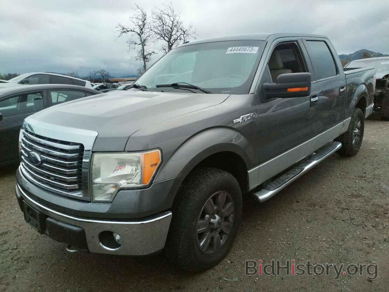 Photo 1FTEW1E82AFD88131 - FORD F-150 2010