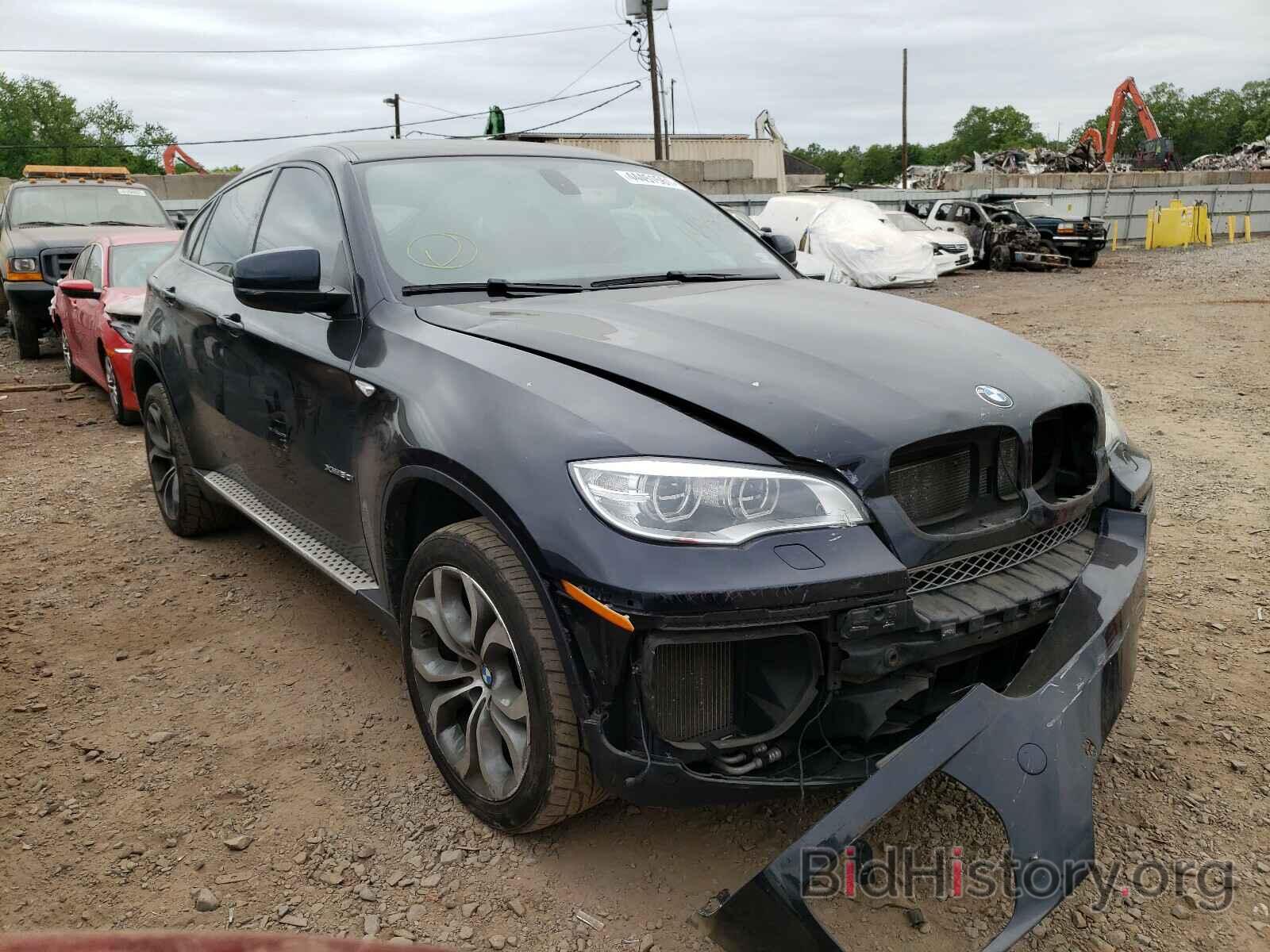 Photo 5UXFG8C59DL591847 - BMW X6 2013