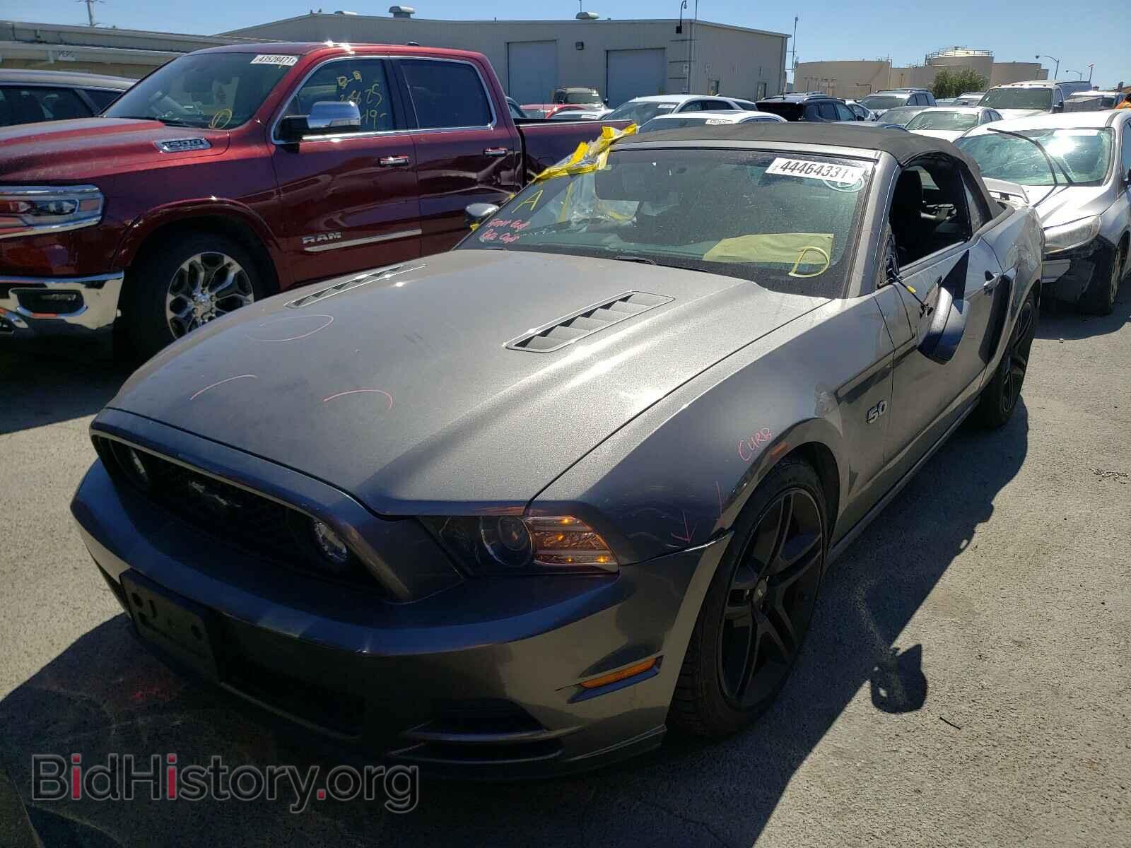 2013 FORD MUSTANG - VIN: 1ZVBP8FF0D5267420 - Фото 2