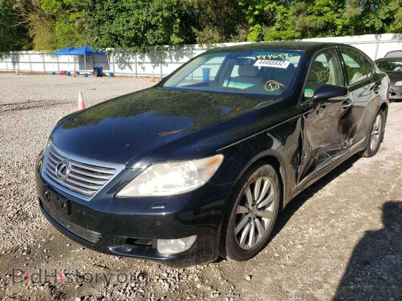 2011 LEXUS LS460 - VIN: JTHCL5EF8B5010133 - Photo 2