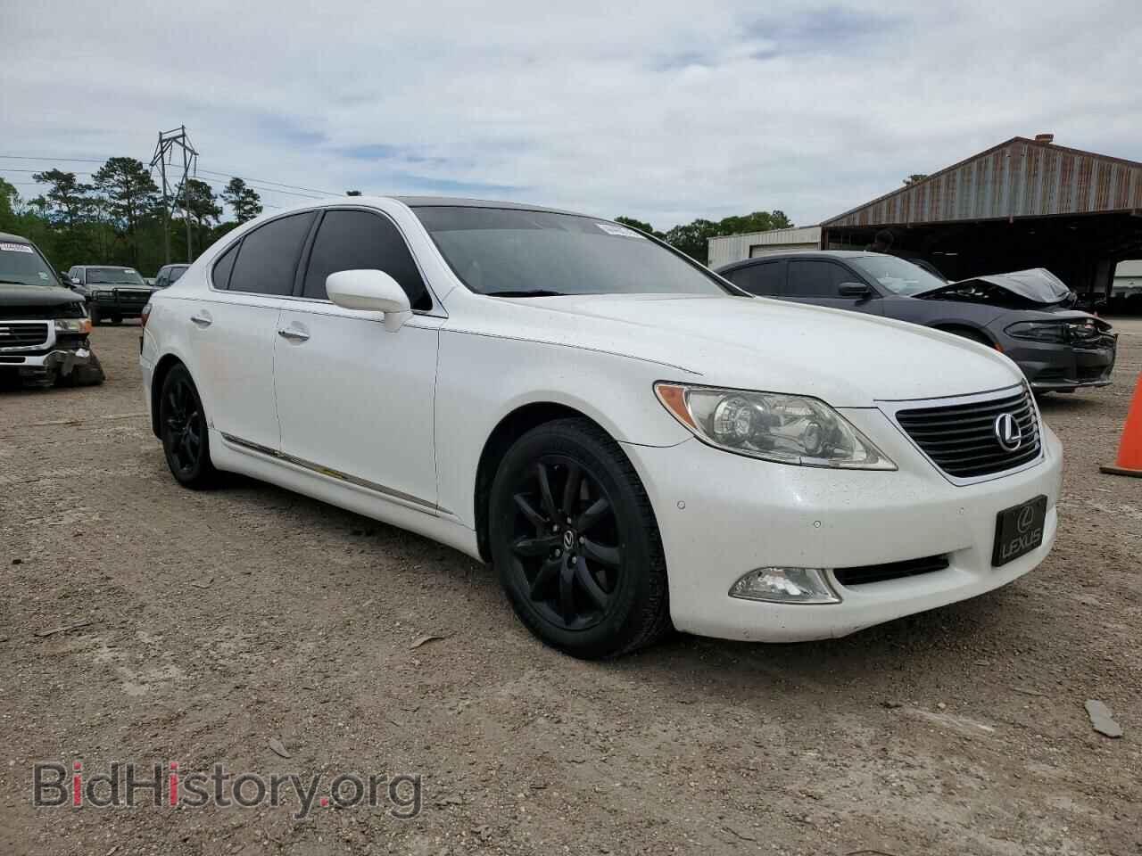 2009 LEXUS LS460 - VIN: JTHBL46F595086438 - Фото 4