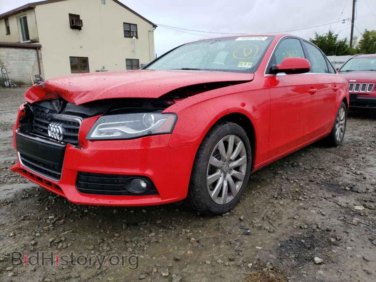 2011 AUDI A4 - VIN: WAUFFAFL2BN045105 - Фото 2