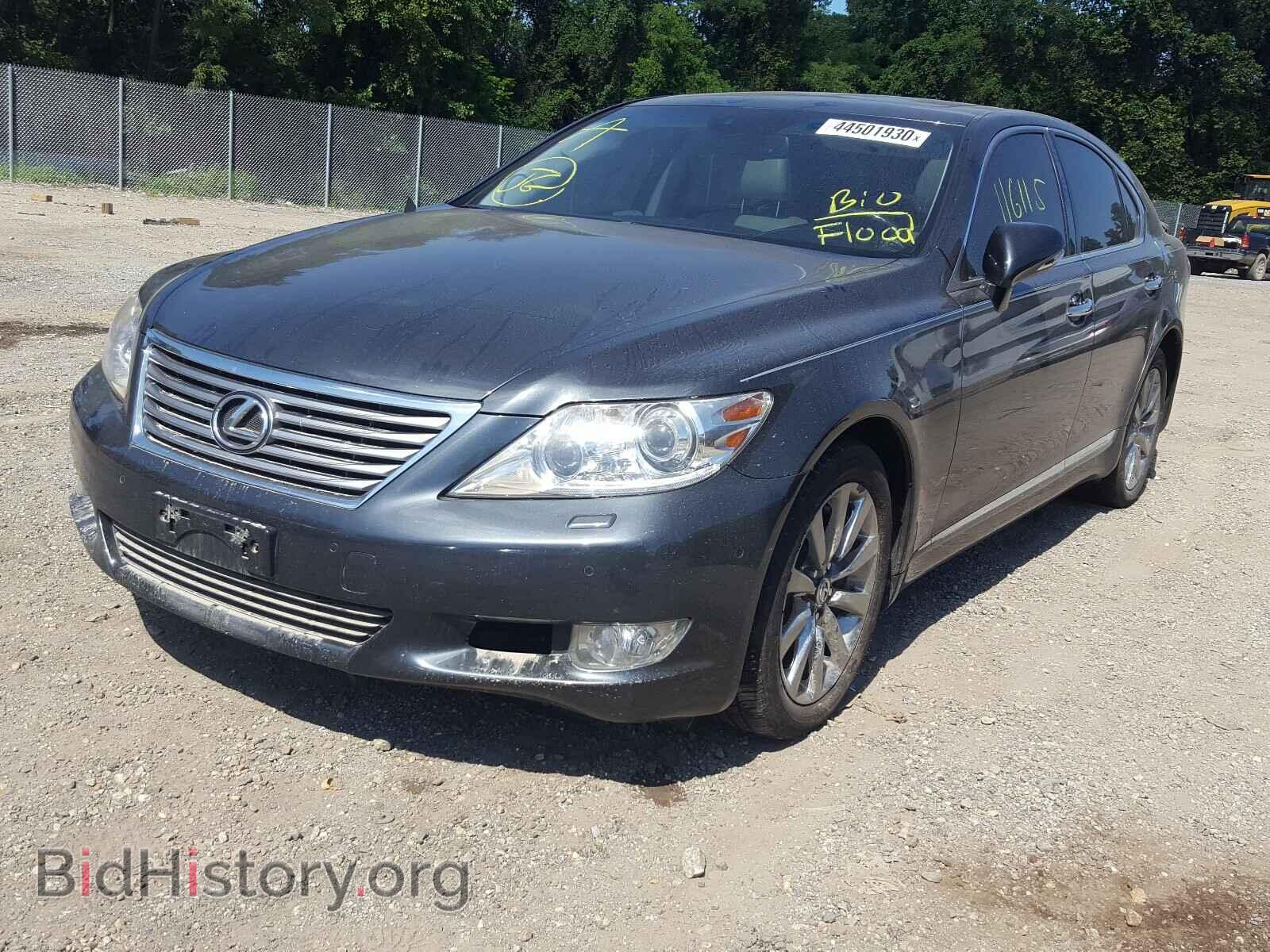 2010 LEXUS LS460 - VIN: JTHCL5EF3A5006764 - Фото 2