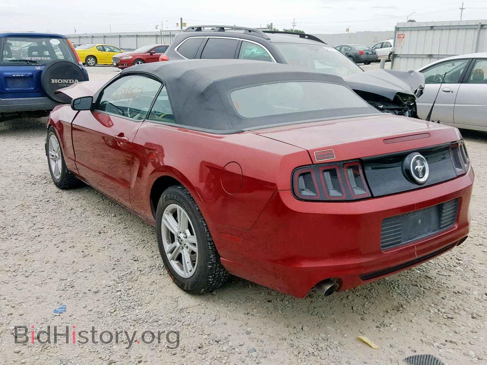 2014 FORD MUSTANG - VIN: 1ZVBP8EM5E5262425 - Фото 3