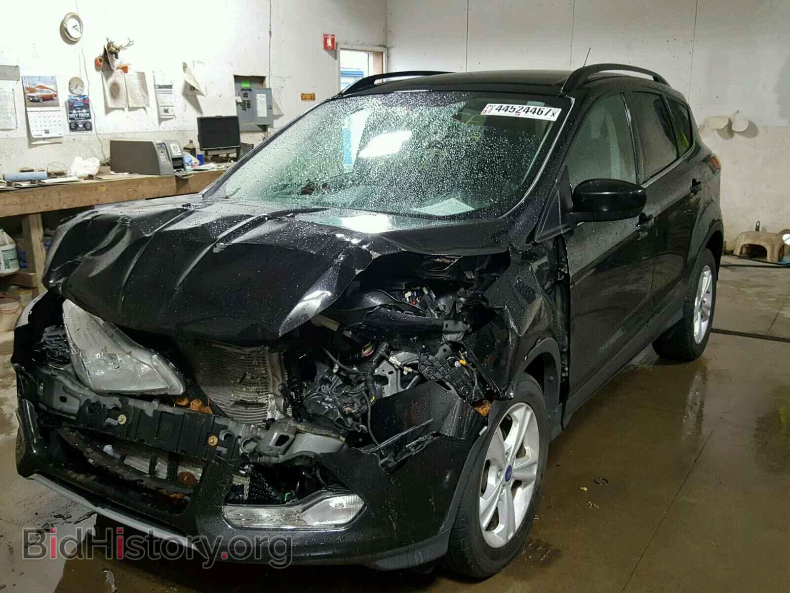 2013 FORD ESCAPE - VIN: 1FMCU0GX1DUB62461 - Photo 2