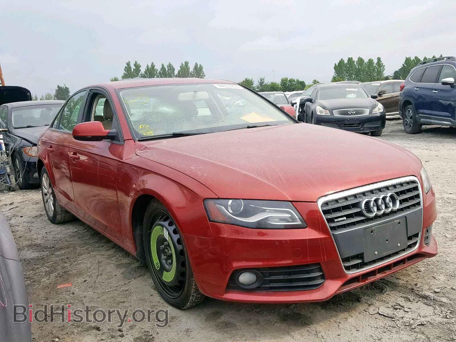 Фотография WAUBFCFL4AN056809 - AUDI A4 2010