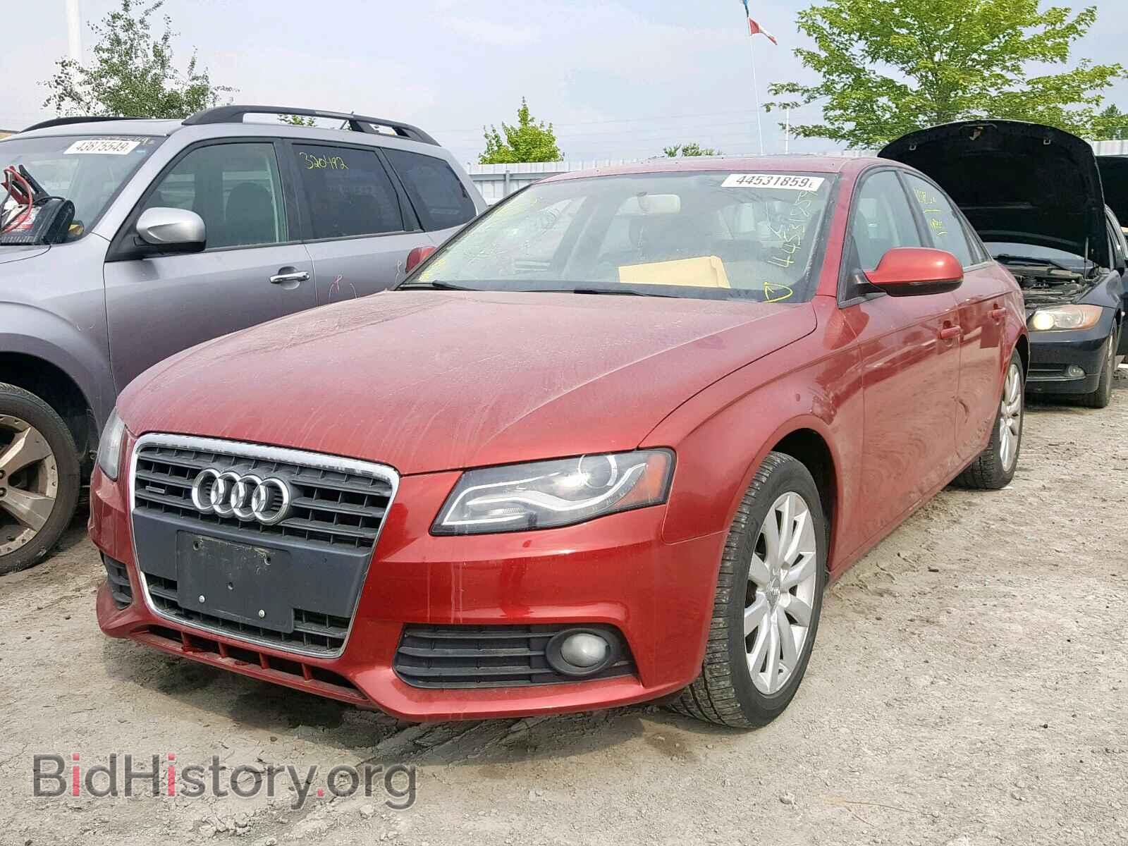 2010 AUDI A4 - VIN: WAUBFCFL4AN056809 - Фото 2