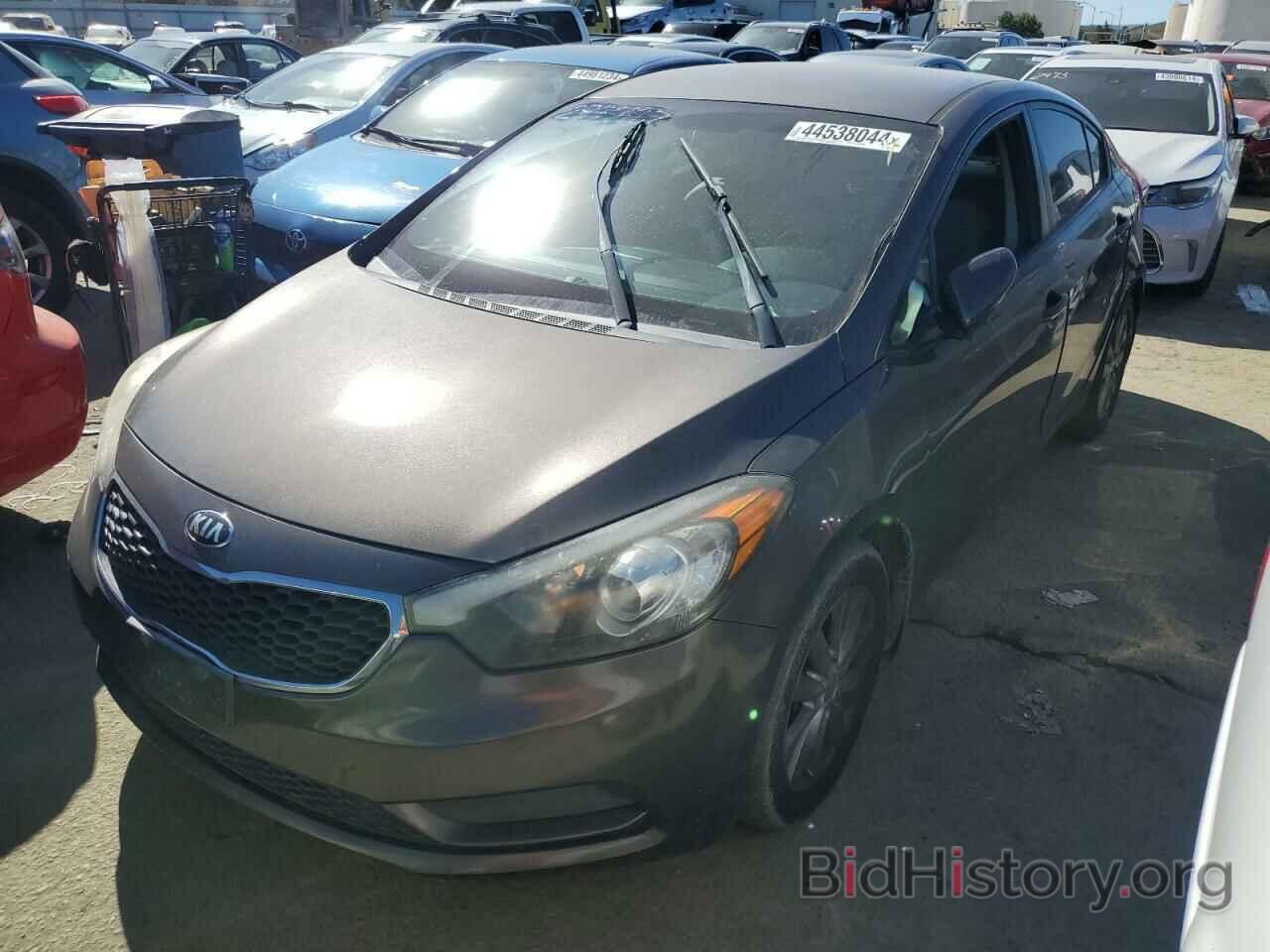 Фотография KNAFX4A69E5055036 - KIA FORTE 2014