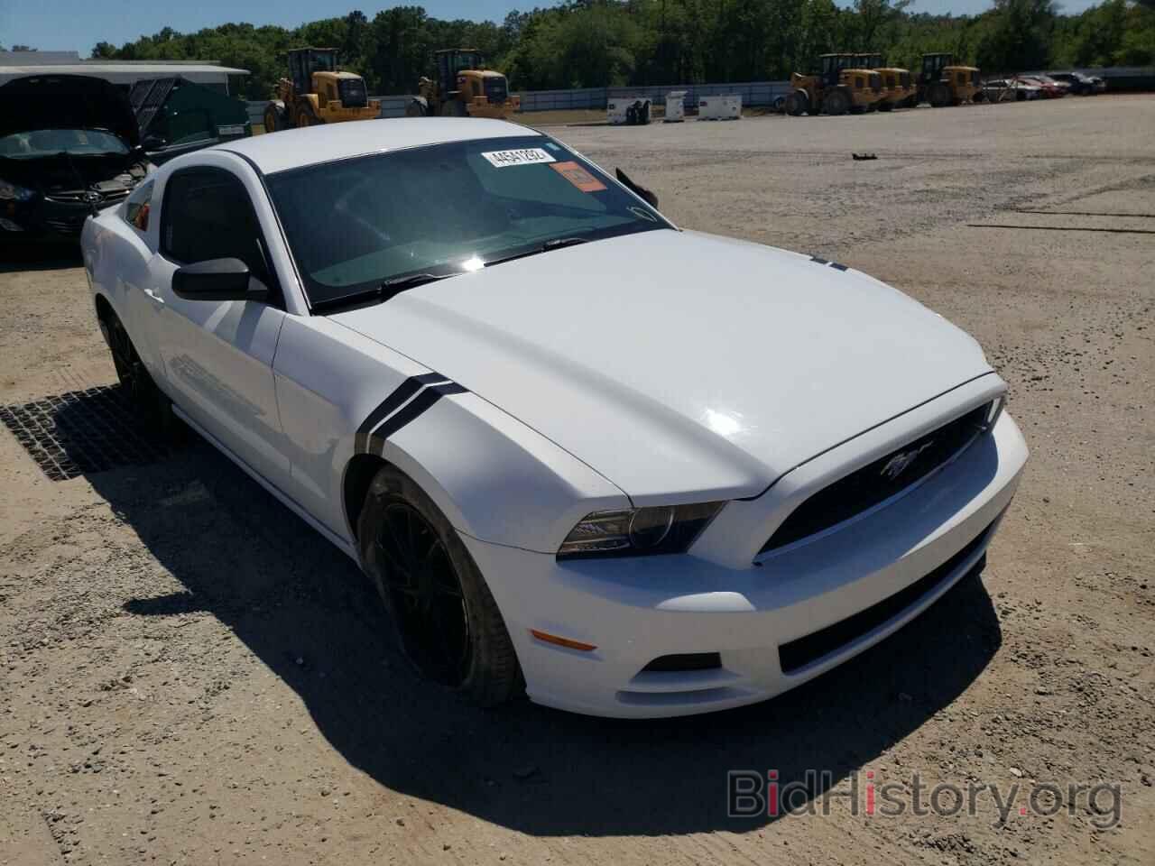 Photo 1ZVBP8AM8E5293979 - FORD MUSTANG 2014