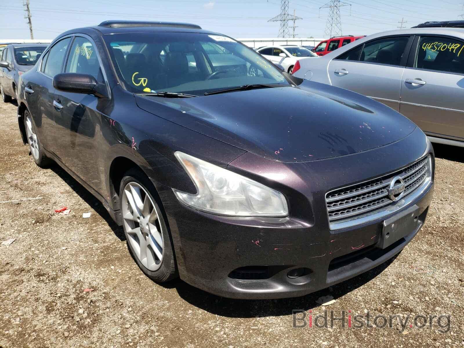 Фотография 1N4AA5APXAC829187 - NISSAN MAXIMA 2010