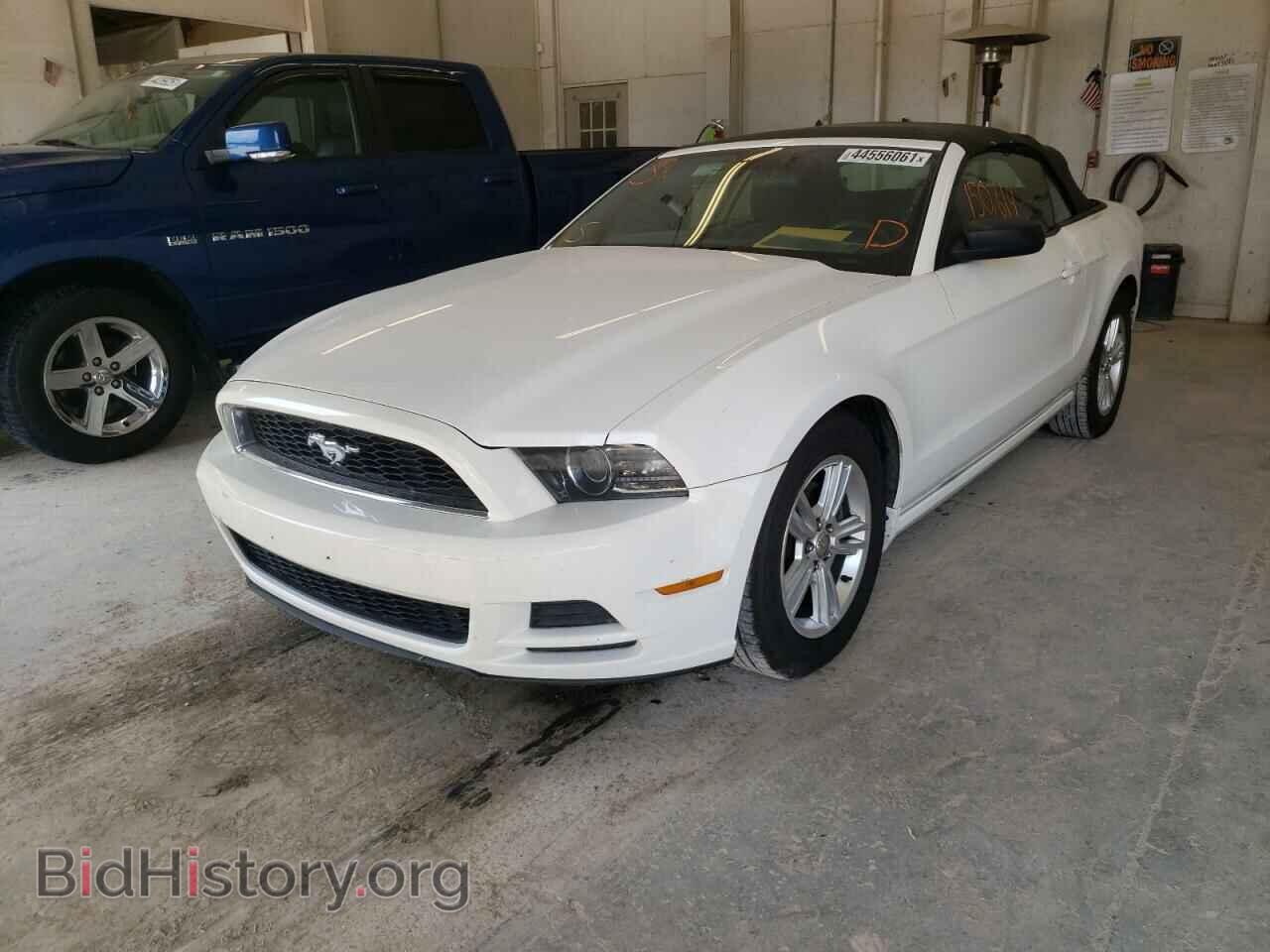 2013 FORD MUSTANG - VIN: 1ZVBP8EM6D5227391 - Фото 2