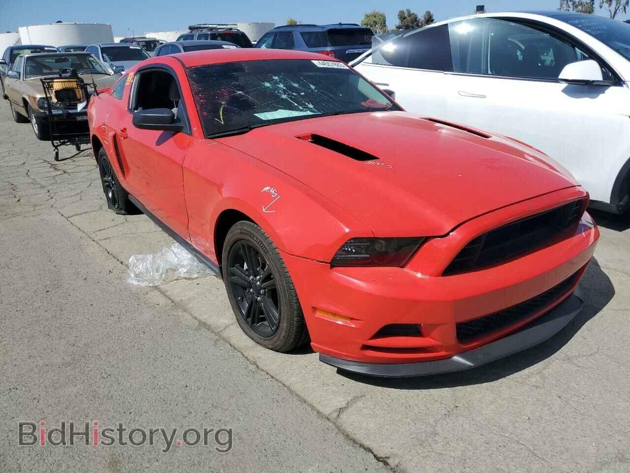 2011 FORD MUSTANG - VIN: 1ZVBP8AM7B5100765 - Фото 4