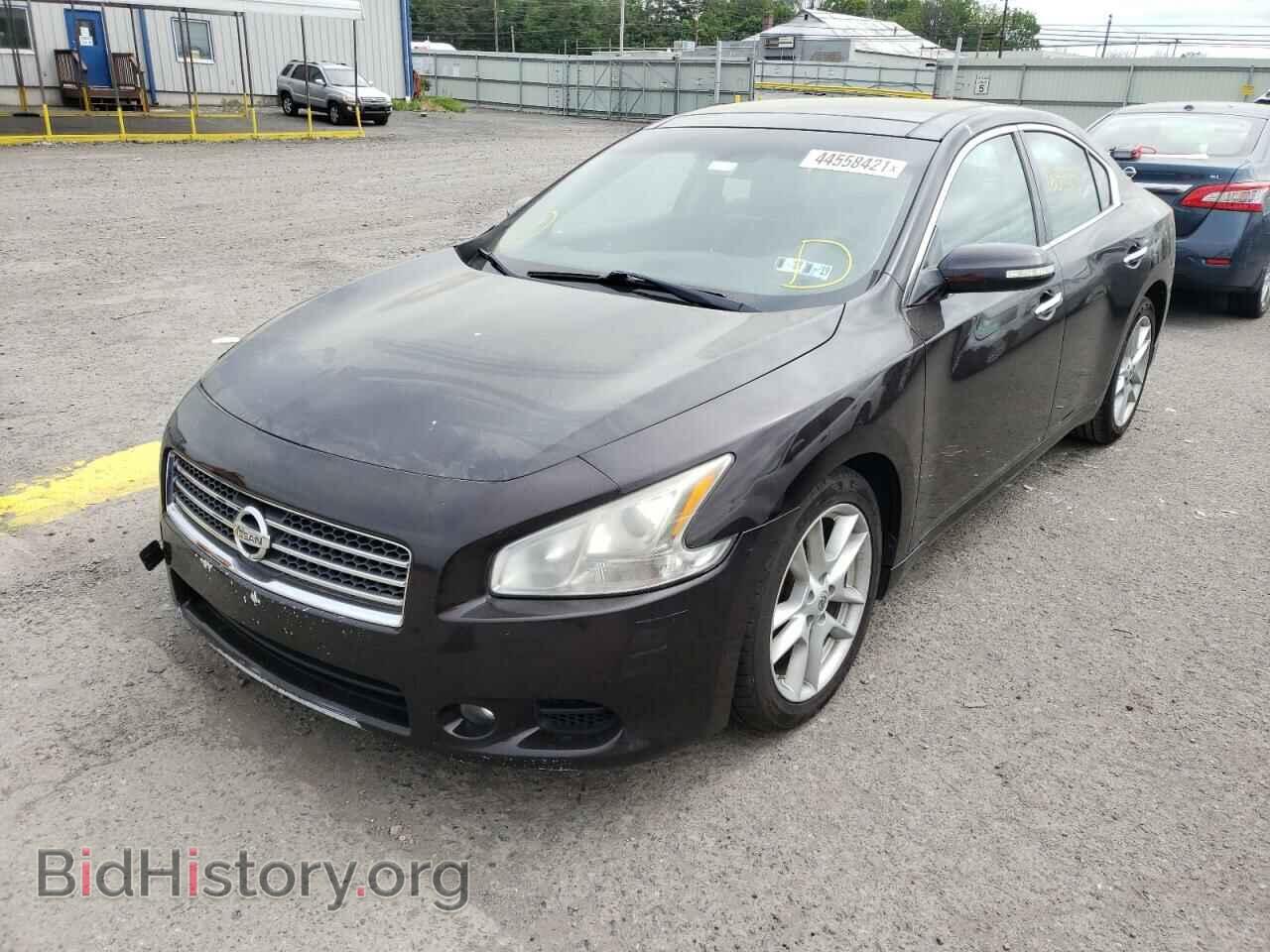 2010 NISSAN MAXIMA - VIN: 1N4AA5APXAC842280 - Фото 2