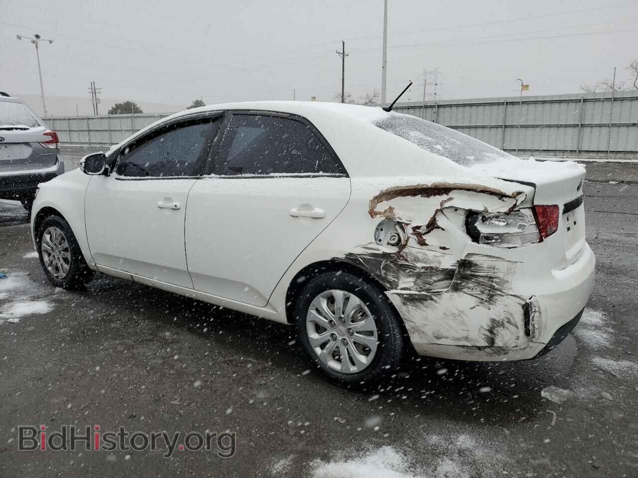 2010 KIA FORTE - VIN: KNAFU4A21A5053233 - Фото 2