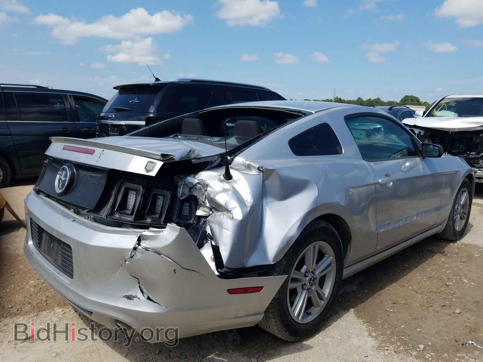 2013 FORD MUSTANG - VIN: 1ZVBP8AM7D5255030 - Фото 4