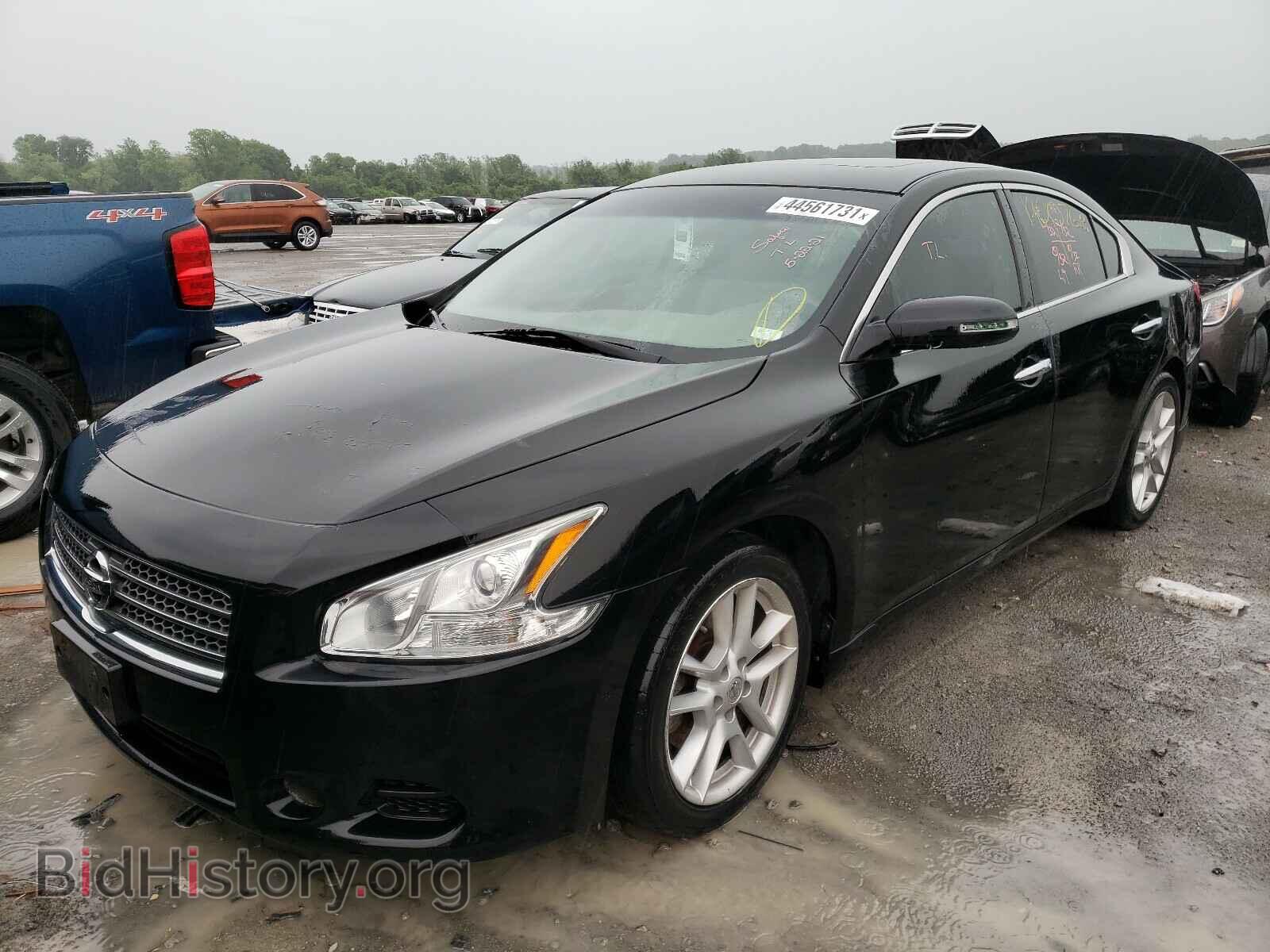 2009 NISSAN MAXIMA - VIN: 1N4AA51E49C859389 - Фото 2
