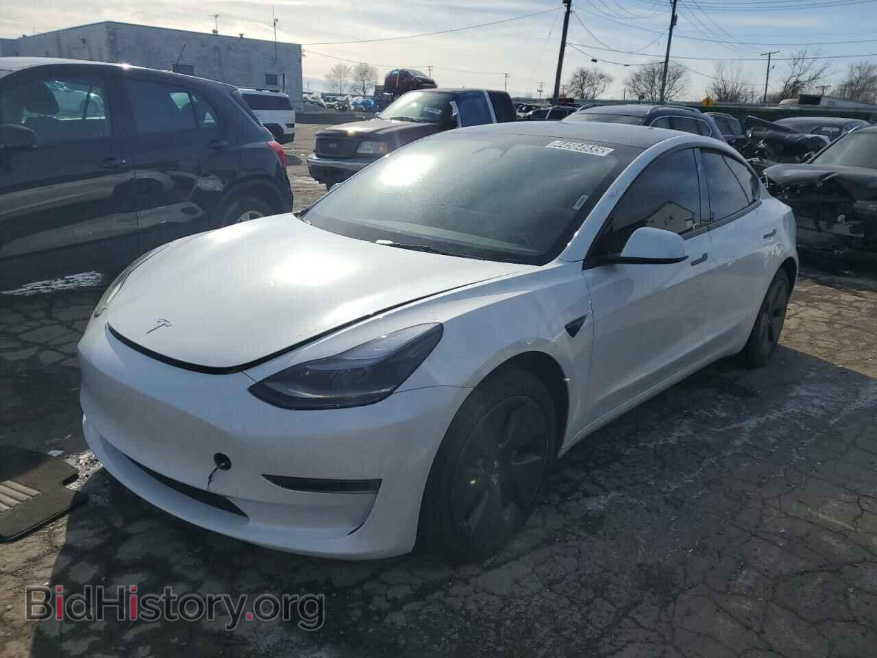 Photo 5YJ3E1EA7PF644564 - TESLA MODEL 3 2023