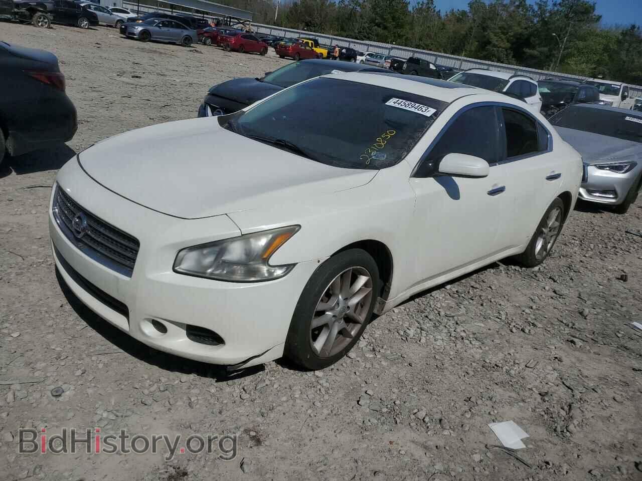 Фотография 1N4AA5AP5BC832211 - NISSAN MAXIMA 2011
