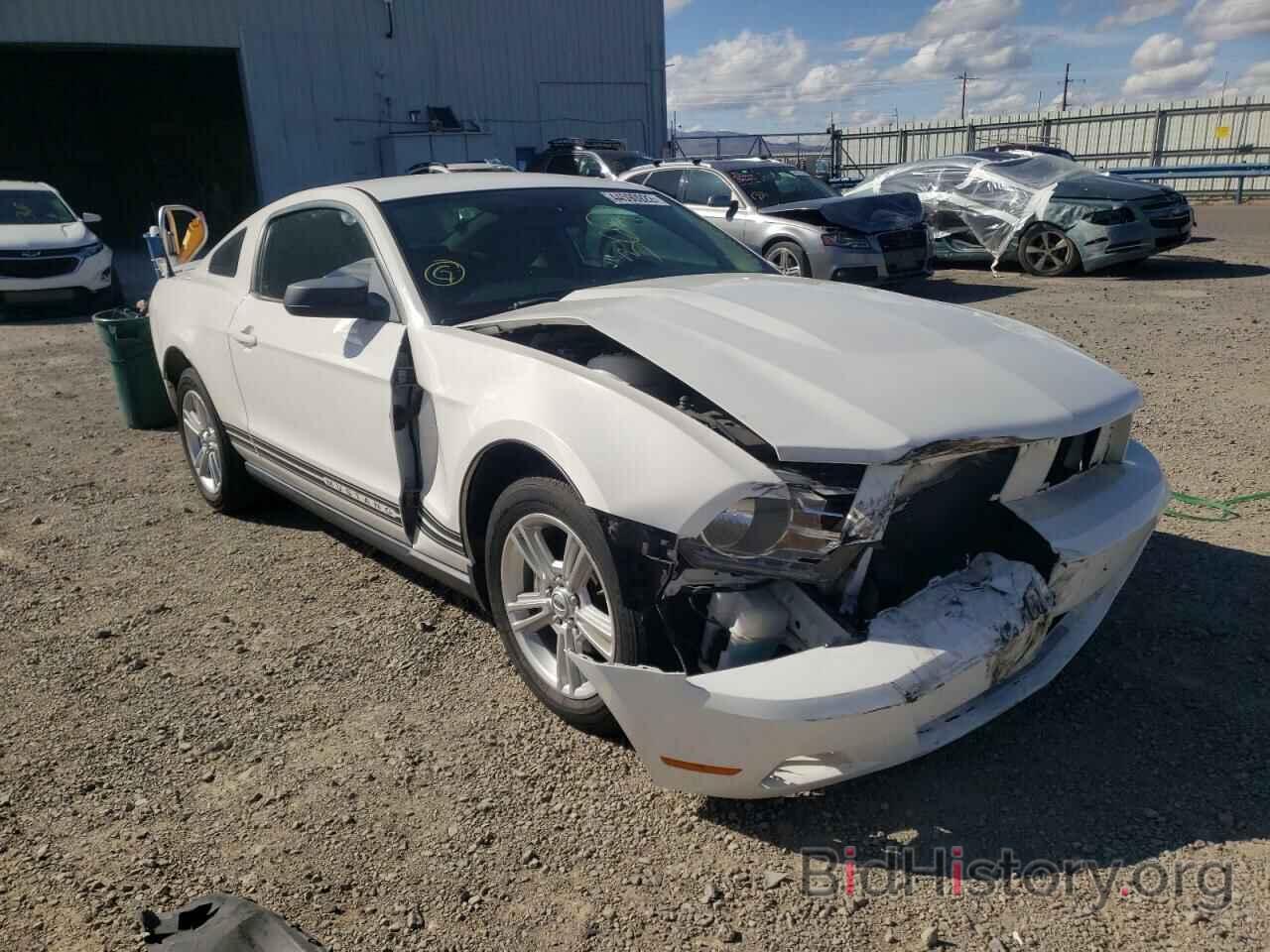 Photo 1ZVBP8AN8A5160206 - FORD MUSTANG 2010